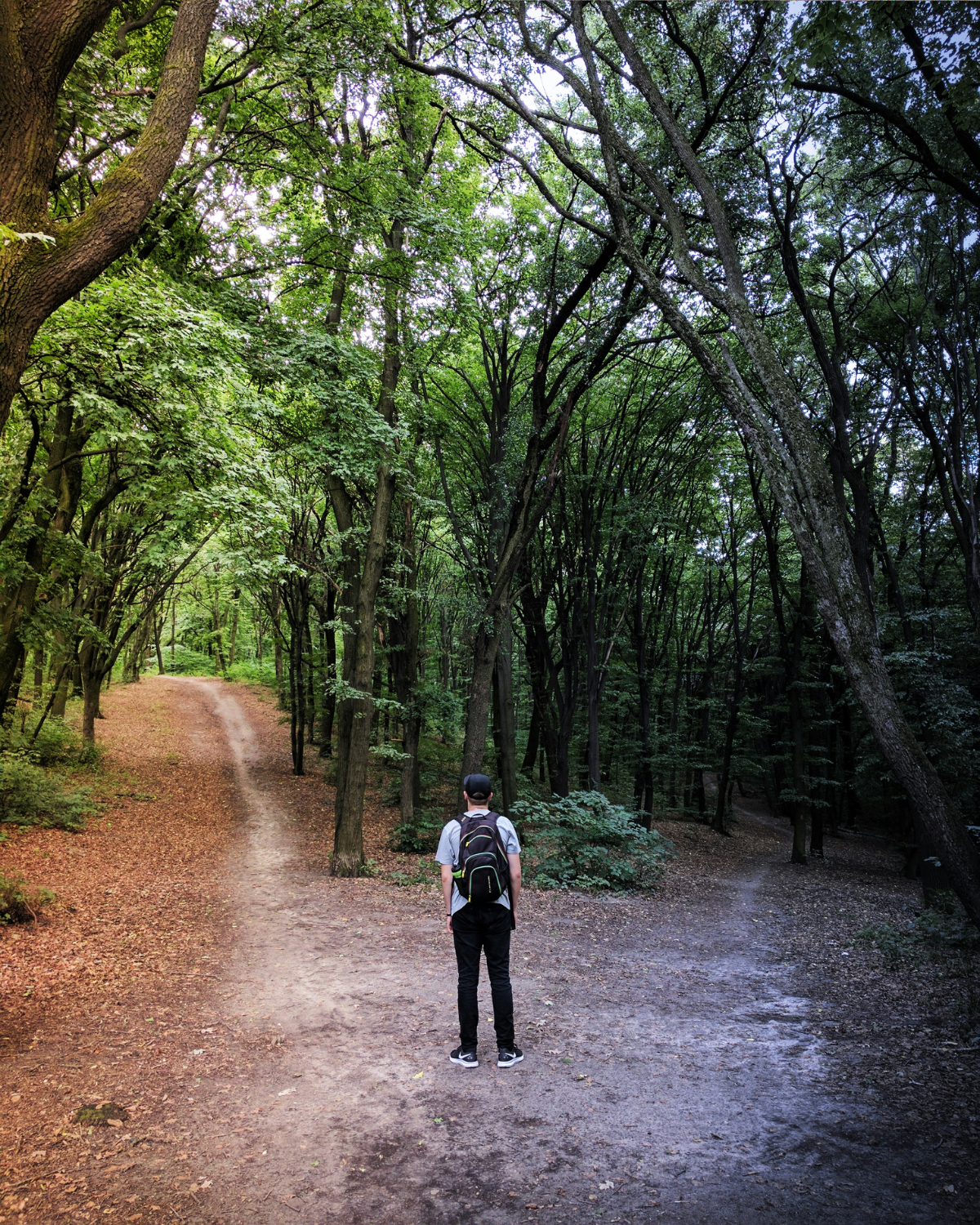 A person pausing where a forest path divides